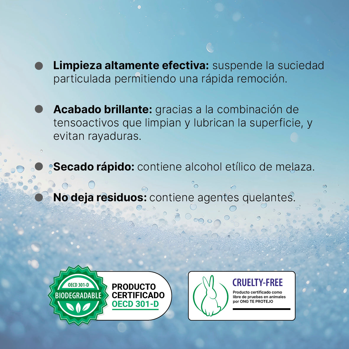 Kit Inicial Limpiavidrios - 100 mL